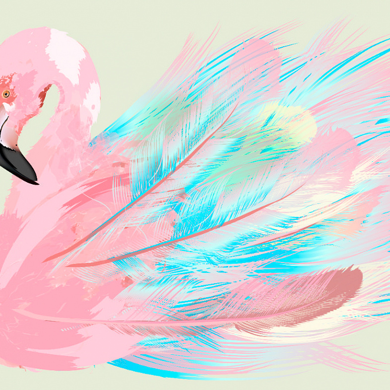 Фламинго illustration мнеобои