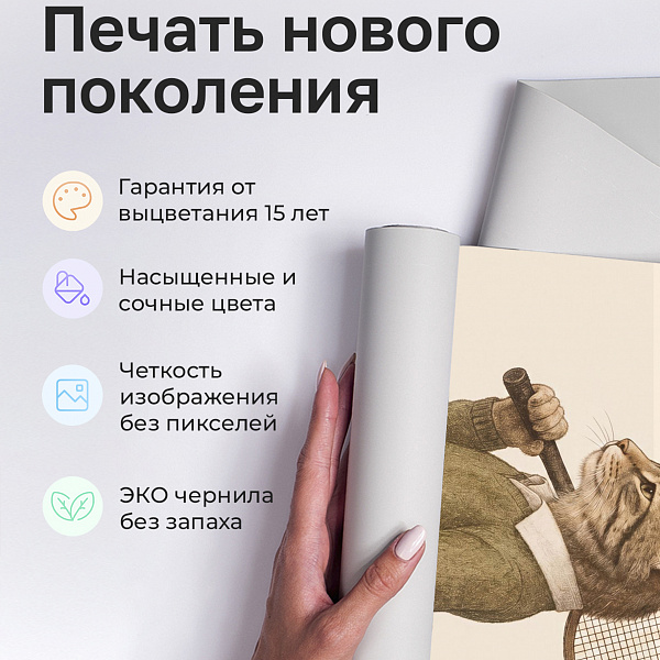 Кот теннисист 11906 P мнеобои