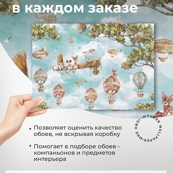 Воздухоплавание 10915 S мнеобои