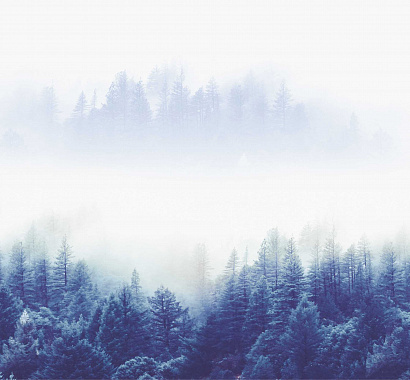 Синий туманный лес 11370 мнеобои